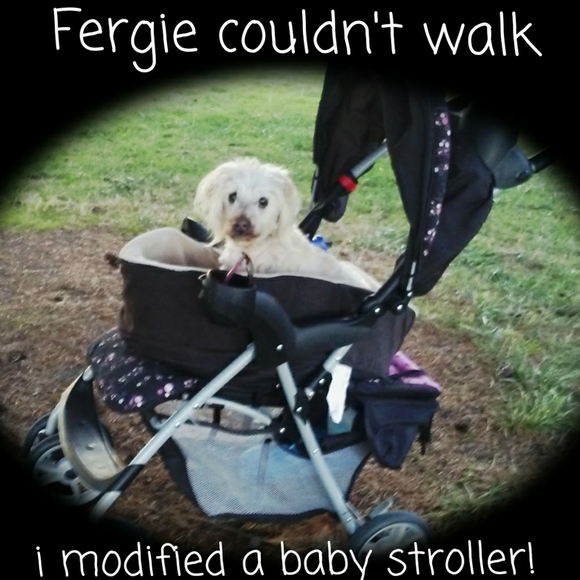 Meet your posher ๐คโคโบ๐ฏ๐๐๐ - Picture 8 of 16